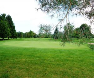 A Kanon Valley green framed by trees